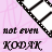 A 5x5 contact sheet of animated frames showing a pink background with repeated film strip icons and text elements like 'not even KODAK', 'could CAPTURE', and 'OUR MOMENTS' in various states of animation.