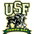 Pixelated icon displays 'USF' in large block letters above a stylized figure with a banner reading 'Tampa' below.