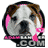 Pixelated dog head with brown and white fur, pink ear decorations, and a pink collar with white text.