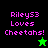Pixelated text 'RileyS3 Loves Cheetahs!' in pink on black and green backgrounds with a star symbol.