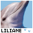 A light blue background features repeated white text 'I LOVE' and 'DOLPHINS', with a small dolphin head image in the top-left corner labeled 'LILIANE'.
