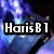 Pixelated blue-toned image with black text overlays reading 'Haris B1', 'Loves', and 'Doctor Who!' across four