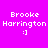 Four variations of a pixelated text-based icon showing 'Brooke Harrington :]' on bright pink background with green highlight bars.