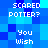 Pixelated blue background with white text reading 'SCARED POTTER?' and 'You Wish' in repeating pattern