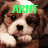 A four- of a brown and white puppy with green text overlays reading ARNT, I SO, CUTE in the top-left, top-right, and bottom-left