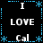 Black background with blue dotted border and star accents, displaying repeated text elements in white and gray pixelated fonts.