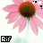 iconhell_bluexaries_rif