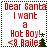 Red pixelated text on white background reads 'Dear Santa I want a Hot Boy! <3 Bailey' with green tree icon, bordered by green dotted line.