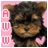 A pixelated dog with brown and black fur against a pink background, featuring vertical text on the left side.