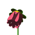Pixelated flower with pink and dark purple petals, yellow center, and green stem in three stages of bloom.