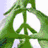 Green peace symbol with leafy texture, black text reading PEACE LOVE AND PEACE, and six hand gesture icons in colored squares.