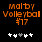 Pixelated orange text reads "Maltby Volleyball #17" above five white and gray plus signs on a black background.