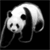 Animals icons for AIM, MSN, MySpace and Yahoo