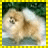 A pixelated dog image on the left and a blue text with 'i like to chew' on the right, bordered by yellow checkered frame