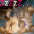 iconhell_iwishiwasincali_ZzZzZ...