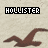 Four pixelated 'Hollister' text blocks and seagull icons arranged in a on beige background, with color variations across frames