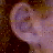 A pixelated close-up of a human ear with visible skin texture and hair, next to blue text reading 'my ears are sexy' on white background.