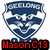Six identical shield-shaped icons with blue and white patterns, each displaying 'MasonC13' text in different colors below.