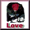 six square each showing a red rose with white leaves against dark background, with red text below reading Love Makes The World Go Round