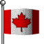 A Canadian flag on a pole with red maple leaf and red vertical bars on a gray background, displayed in a of nine identical frames