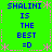 Green background with blue text reading "SHALINI IS THE BEST =D" in four identical quadrants, bordered by pink asterisks and dashed lines.