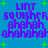 Blue background with green plus signs and purple text reading "LINT SQUISHER ahahah" repeated in four quadrants.