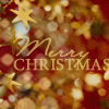 Red background with golden stars and bokeh lights, featuring 'Merry Christmas' text in gold script and block letters.