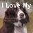 A dog with brown and white fur appears in two side-by-side frames, each displaying text above its head.