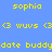 Pixelated blue background with yellow text and green rectangular blocks displaying repeated phrases like 'sophia' and 'wuvv'.