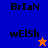 Blue and purple background split into four quadrants with text 'BriaN' and 'wElSh', orange star in blue quadrant, blue star in orange quadrant.