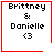 Four identical pixelated display 'Brittney & Danielle' text with a heart symbol, each bordered in red with a distinct corner symbol