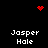 Four identical pixelated text blocks reading 'Jasper Hale' arranged in a on a black background, with red pixel art symbols above and below the
