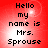 Red background with pixelated text reading "Hello my name is Mrs. Sprouse" in four identical quadrants.