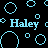 Animated sequence of light blue text fragments and geometric shapes on black background, with partial words 'Haley', 'Hal', 'Ha' visible among circular and square outlines.