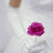 A static pixelated image shows a purple flower-like shape on a thin stem against a light gray background with a brown circular shape in the upper left.