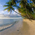 Pixelated beach scene with sandy shore, calm water, and tree branches extending over the water under a light blue sky.