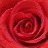 A static pixelated image of a red rose with layered petals forming a spiral pattern, rendered in varying shades of crimson and magenta.