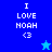 Blue and cyan pixelated text displays "I LOVE NOAH <3" with a star symbol in two color variations.