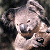 A pixelated image of a koala on the left and green text reading "Original Icons .com" on the right against a dark background.