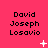 Pixelated text displays 'David Joseph Losavio' on a bright pink background with animated white sparkles and dots appearing in different positions across frames.