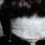 Black-and-white close-up of a person with dark hair wearing sunglasses, showing two sequential facial expressions in side-by-side
