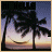 Two side-by-side animated frames of a tropical sunset scene with palm trees and water reflections, one in natural colors and the other in purple-pink hues.