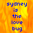 Blue pixelated text reading "sydney is the love bug" on a fiery orange-yellow background with one section of gray.