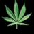 Pixelated green cannabis leaf with seven serrated lobes on a solid black background, rendered in low-resolution digital style.