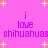 A static image with a bright pink background featuring yellow star shapes and purple text reading "i love chihuahuas" in two