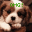 A pixelated image of a brown and white dog with green text reading "OMG!!" on the left side.