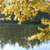 Pixelated static image of a dark boat on water with yellow and brown foliage above, reflecting in the water below.