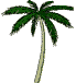 Nine identical palm tree icons arranged in a on a light gray background, each with a light green trunk and dark green fronds