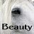 A four- of horse-themed images with text labels: a close-up of a white horse's eye, two horses in motion, and a rider on a dark horse jumping over an obstacle