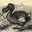 Pixelated grayscale image of a dodo bird standing on a textured surface with a light background.